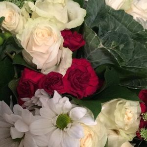 Meet your Posher, Irene